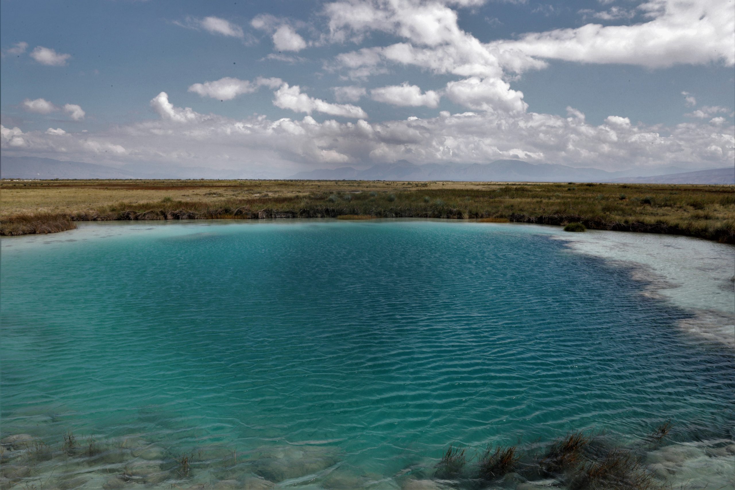 Crítica de “Cuatro Ciénegas y la tragedia de los comunes” por José Pablo Acevedo