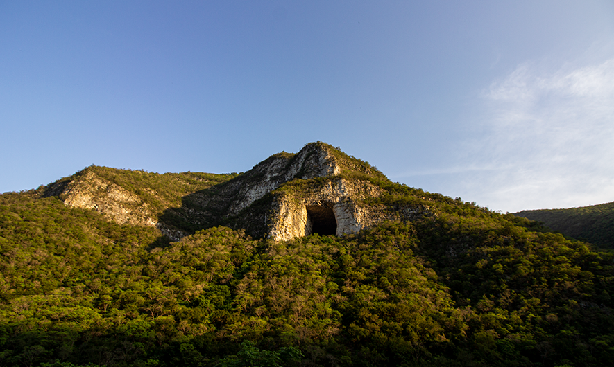 Los murciélagos de la cueva de la boca
